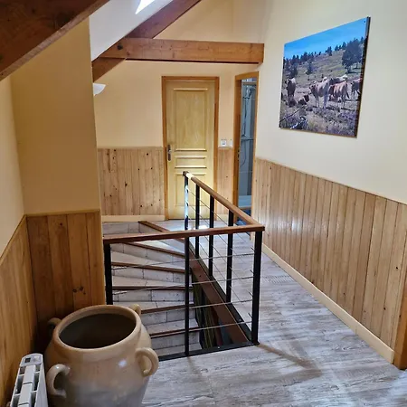 Grande Maison De Village Entierement Renovee * Ispagnac